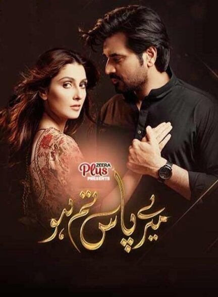 دانلود سریال پاکستانی من تو را دارم Meray Paas Tum Ho با دوبله فارسی
